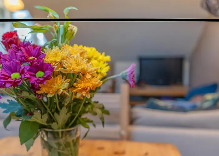 Apartman Cosy Pet Friendly Upside Down Hideaway Bristol