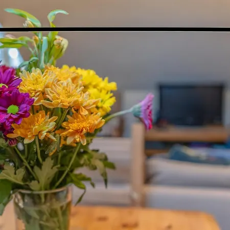 Lejlighed Cosy Pet Friendly Upside Down Hideaway Bristol