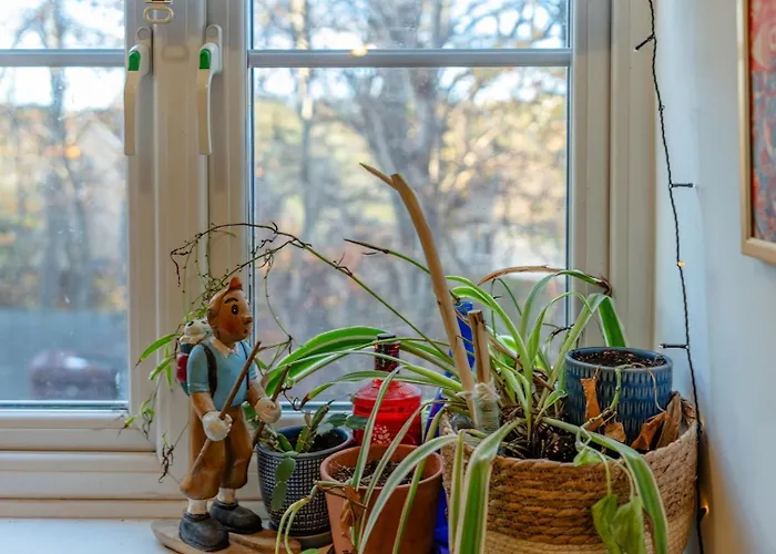 Cosy Pet Friendly Upside Down Hideaway Lejlighed